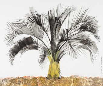 Cornish Palm II