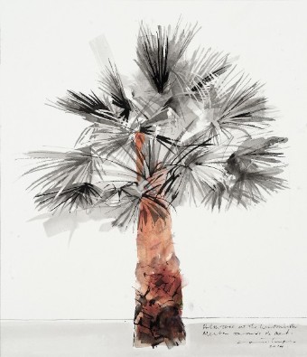 Palm at Le Westminster