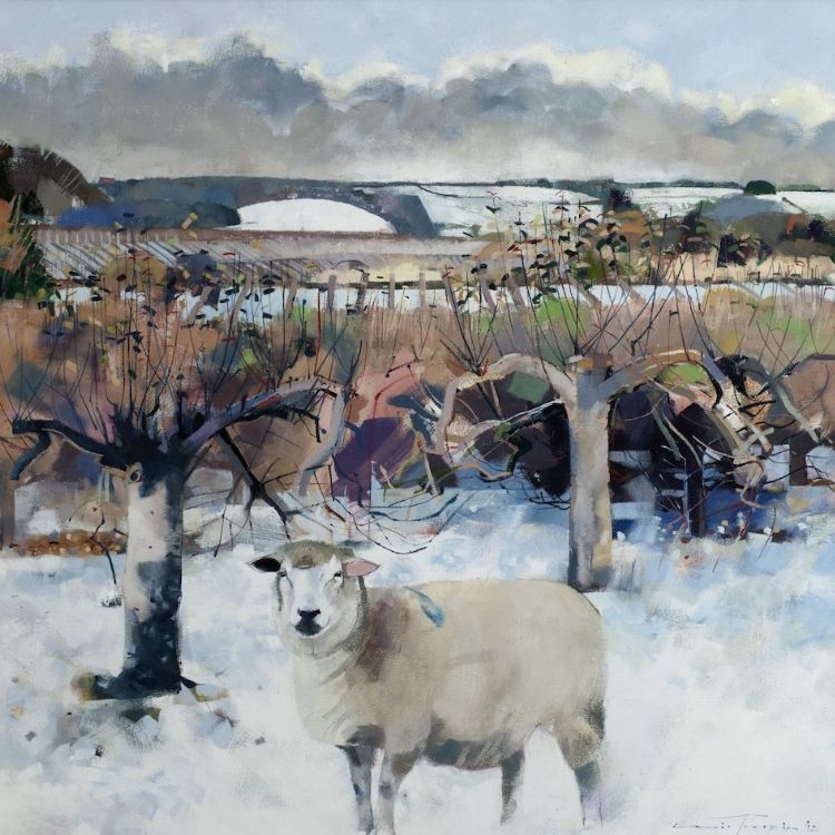 Orchard in Snow