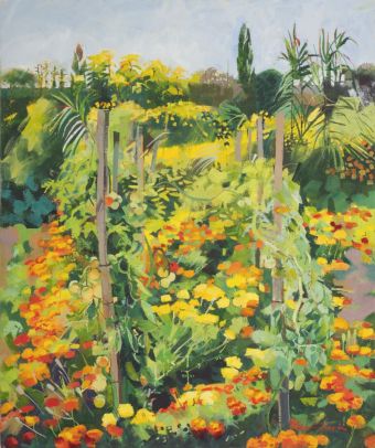 Tomatoes and Marigolds