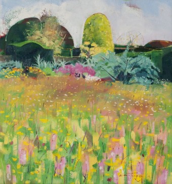 Wild Flower Meadow